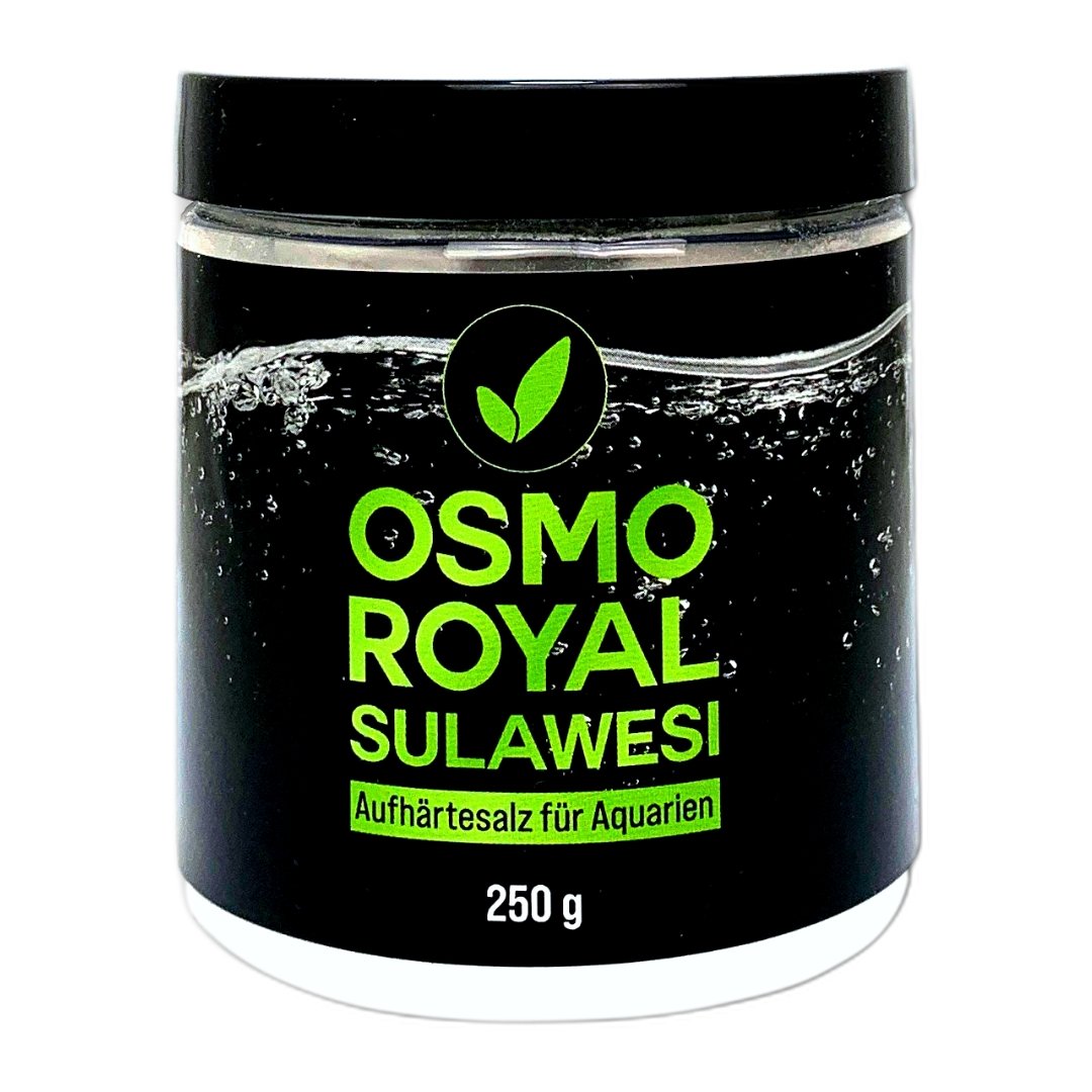 Osmo Royal Sulawesi